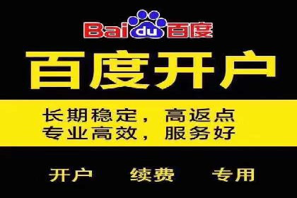 优化SEM竞价策略：成功案例剖析